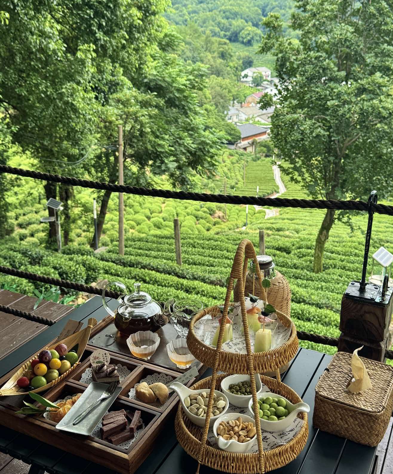 West Lake Longjing Tea Full Experience Tour (From Picking to Tea Making)