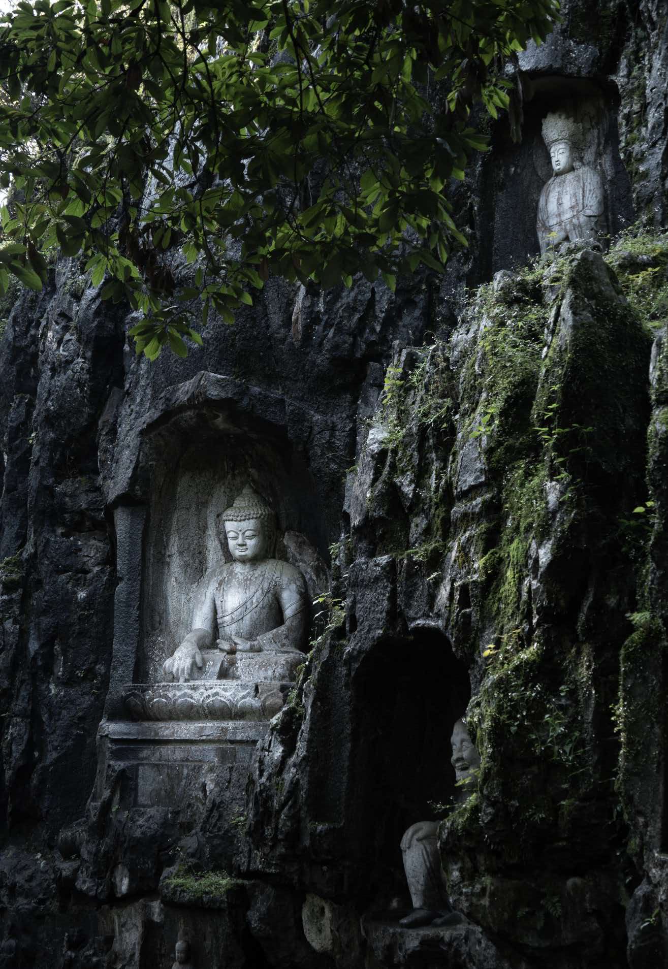 Hangzhou Temple Tour Guide: Lingyin Temple, Feilai Peak, and Faxi Temple