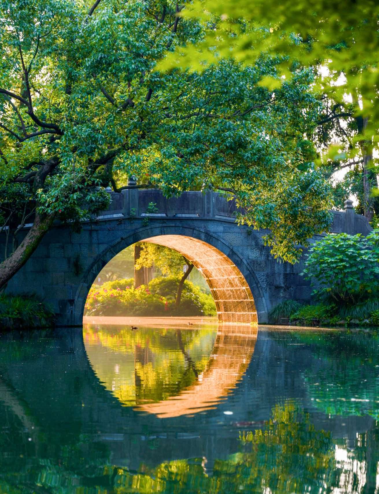 Hangzhou West Lake: A Scenic Tour Changing with Seasons (Fully Custom Private Tour)