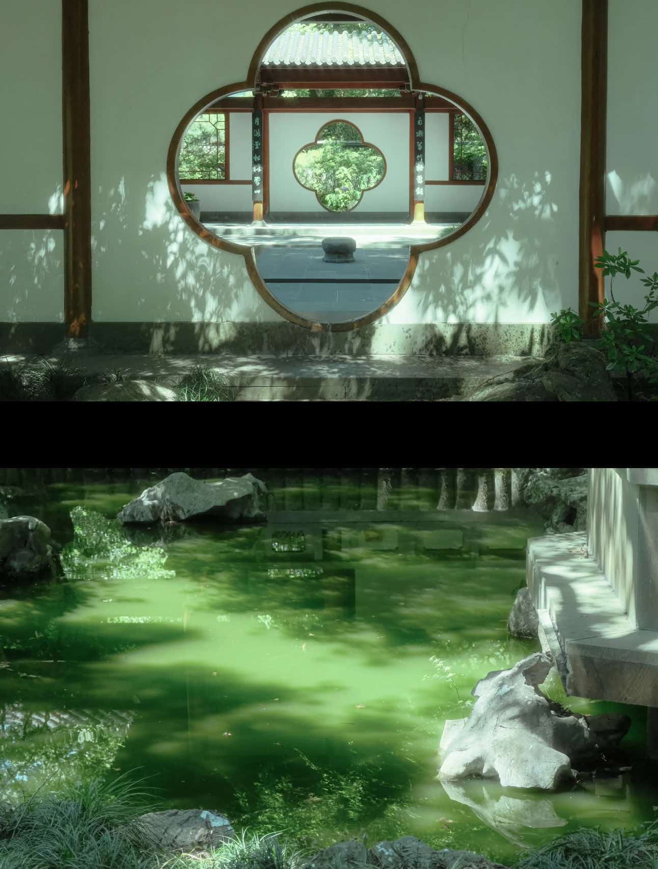 Hangzhou One-Day Tour: High-Speed Trip & Custom Longjing Tea Experience